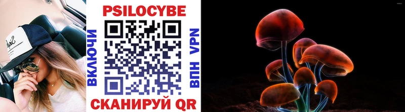 Галлюциногенные грибы прущие грибы  Купить закладки  Обь 